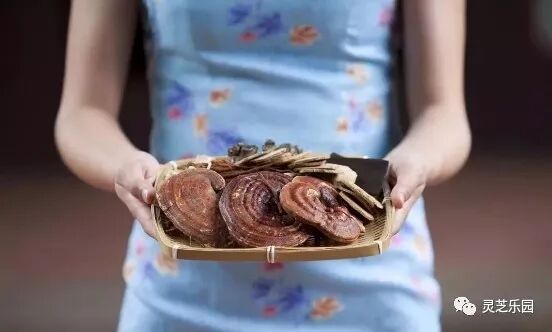 灵芝不是中老年人的专利，从青少年时期吃灵芝，效果更好