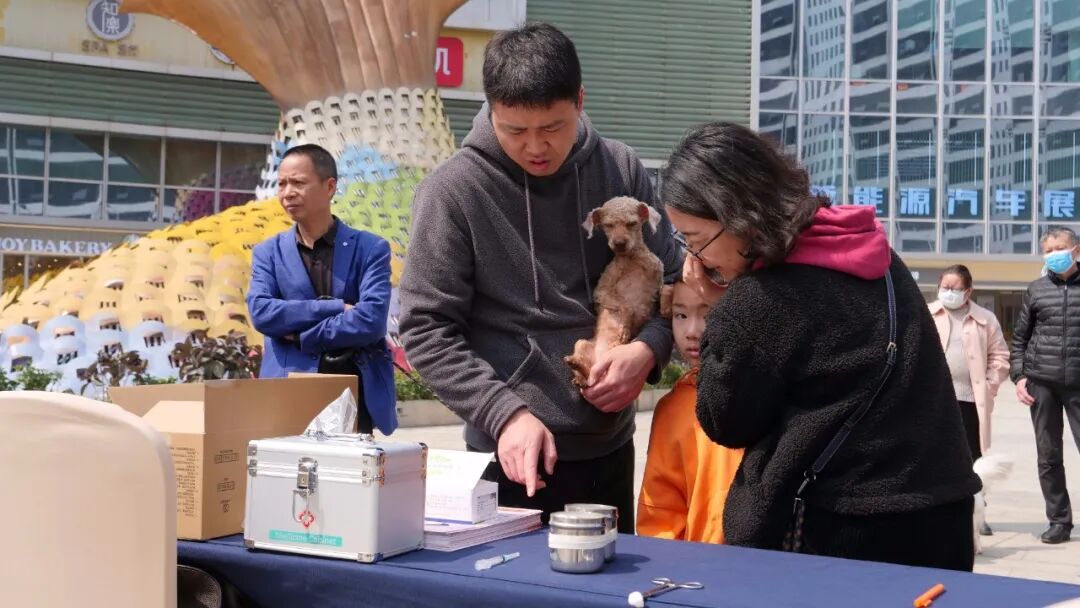 服务涵盖昆明无人机培训、昆明保安服务、昆明物业服务、昆明宠物医疗美容、昆明职业技能培训服务、昆明广告策划、昆明安防监控。