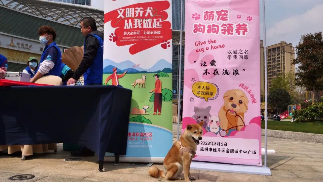 服务涵盖昆明无人机培训、昆明保安服务、昆明物业服务、昆明宠物医疗美容、昆明职业技能培训服务、昆明广告策划、昆明安防监控。