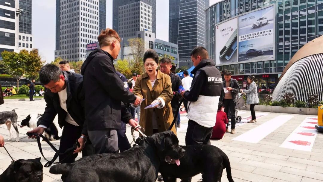 服务涵盖昆明无人机培训、昆明保安服务、昆明物业服务、昆明宠物医疗美容、昆明职业技能培训服务、昆明广告策划、昆明安防监控。