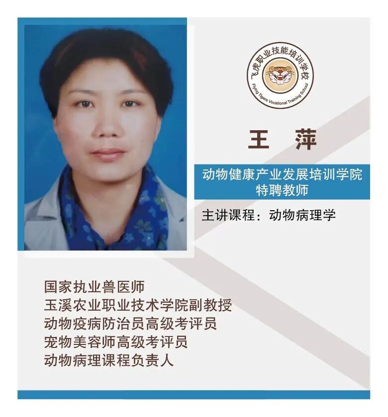 服务涵盖昆明无人机培训、昆明保安服务、昆明物业服务、昆明宠物医疗美容、昆明职业技能培训服务、昆明广告策划、昆明安防监控。