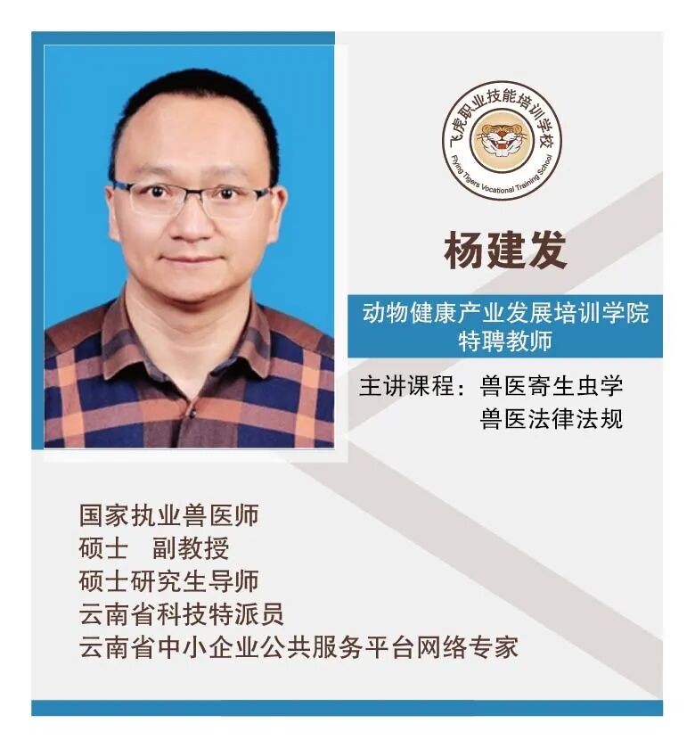 服务涵盖昆明无人机培训、昆明保安服务、昆明物业服务、昆明宠物医疗美容、昆明职业技能培训服务、昆明广告策划、昆明安防监控。