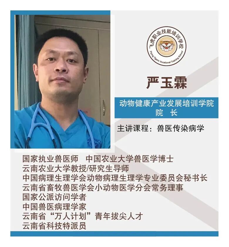 服务涵盖昆明无人机培训、昆明保安服务、昆明物业服务、昆明宠物医疗美容、昆明职业技能培训服务、昆明广告策划、昆明安防监控。