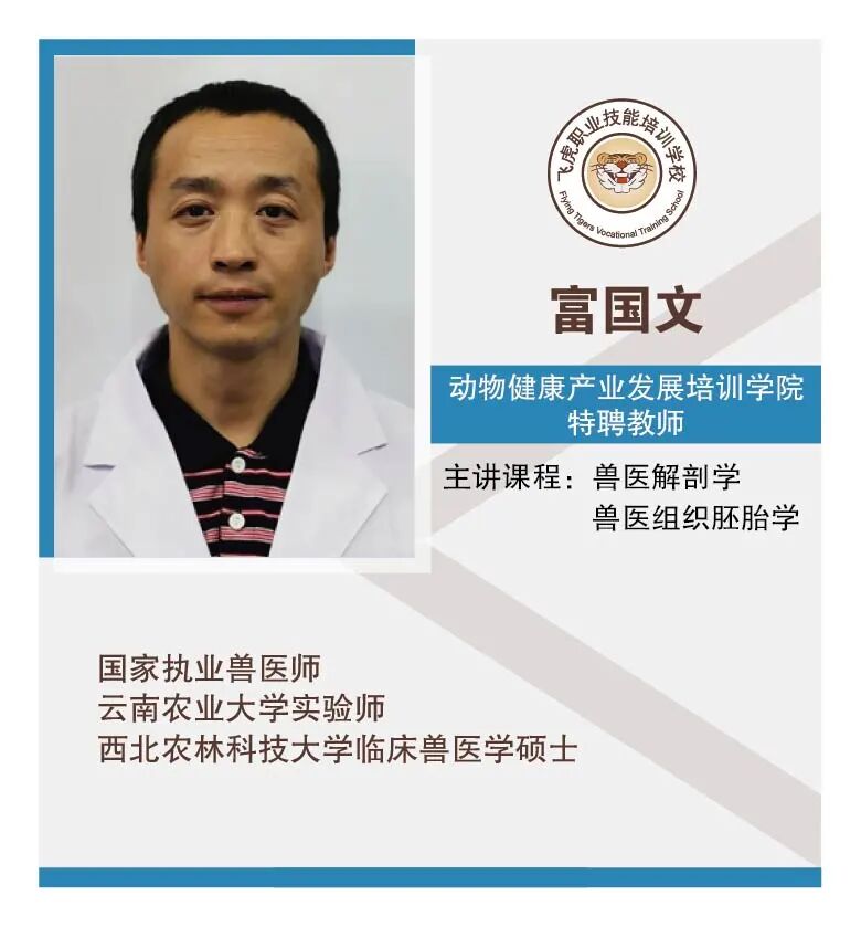 服务涵盖昆明无人机培训、昆明保安服务、昆明物业服务、昆明宠物医疗美容、昆明职业技能培训服务、昆明广告策划、昆明安防监控。