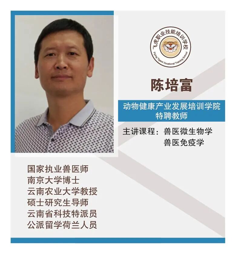 服务涵盖昆明无人机培训、昆明保安服务、昆明物业服务、昆明宠物医疗美容、昆明职业技能培训服务、昆明广告策划、昆明安防监控。