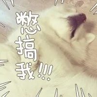 今天,微信、支付宝同时辟谣:没干过这事!(图17) 今天,微信、支付宝同时辟谣:没干过这事!(图17)