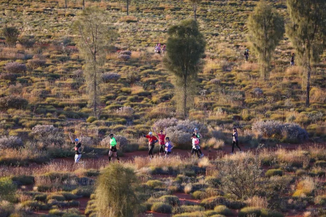 2020澳大利亚内陆马拉松：绕着地球的肚脐——乌鲁鲁巨石奔跑！