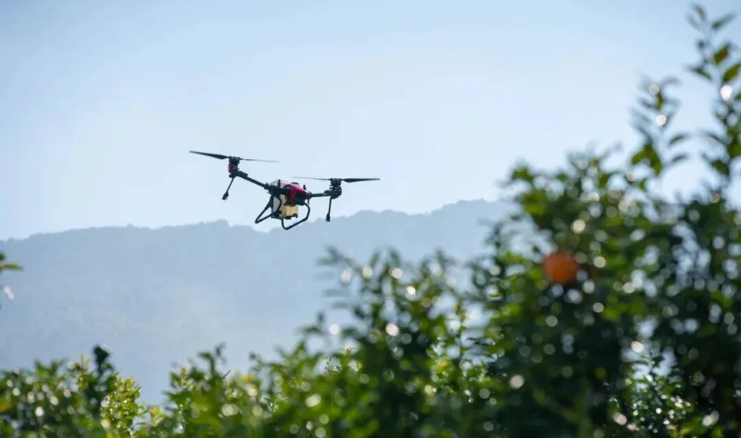 极飞v40农业无人机是如何解决山区丘陵小地块作业问题的