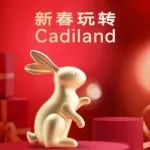 Cadiland新春游戏 ｜急速时刻「兔」飞猛进