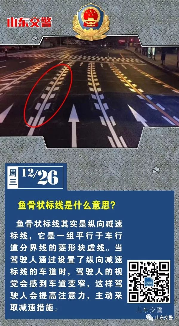 每日安全鱼骨状标线是什么意思