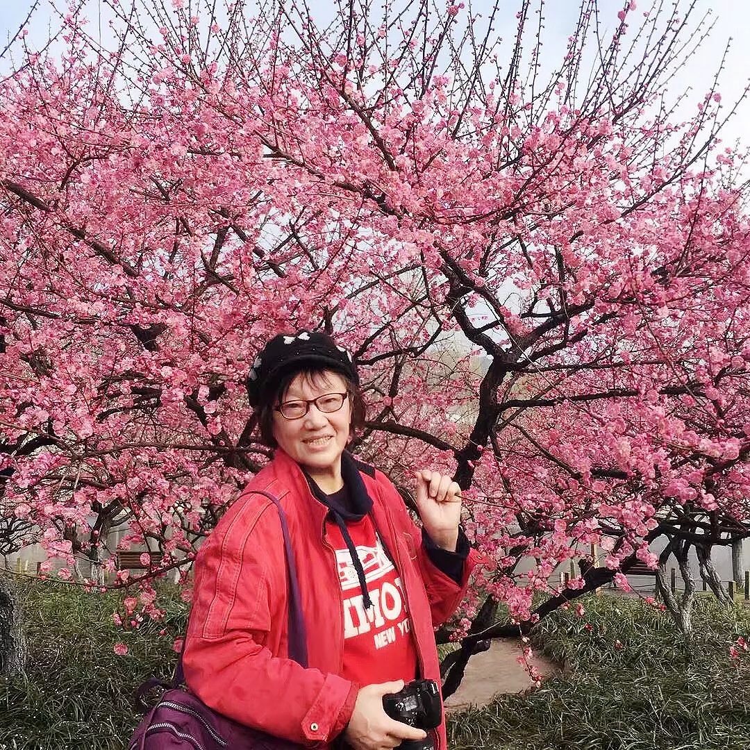 感觉这条三文鱼完全不休息,三文鱼洄游：凄美悲壮的生命落幕