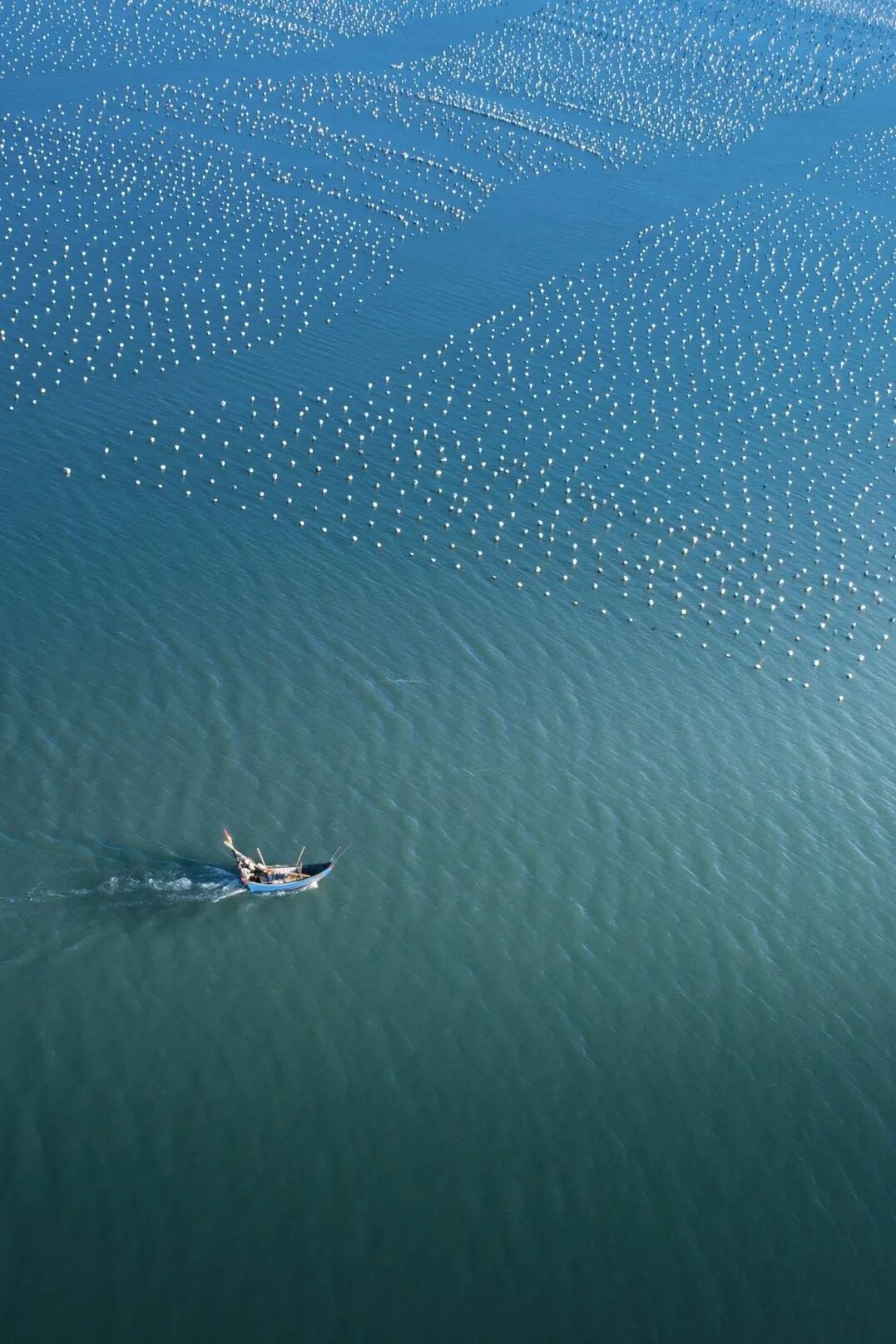 dji大疆一股来自神秘东方的力量