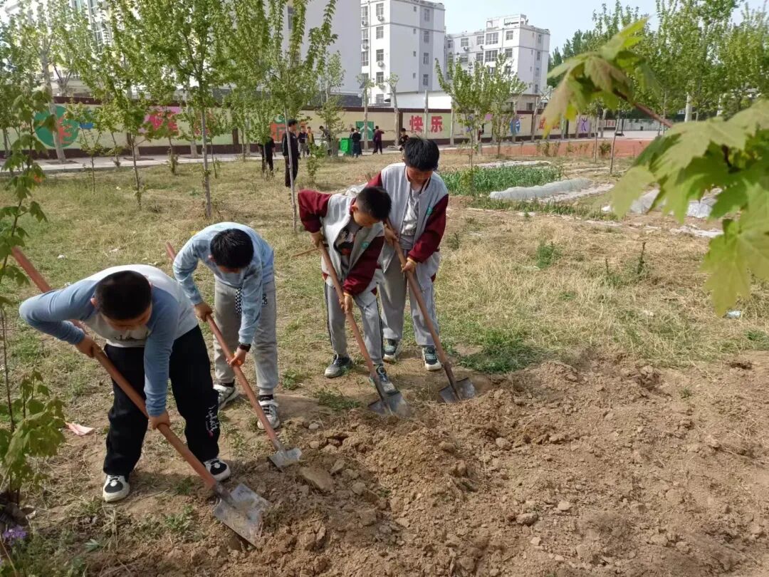 生活即教育实践促成长东阿县姚寨镇中心小学劳动实践活动纪实