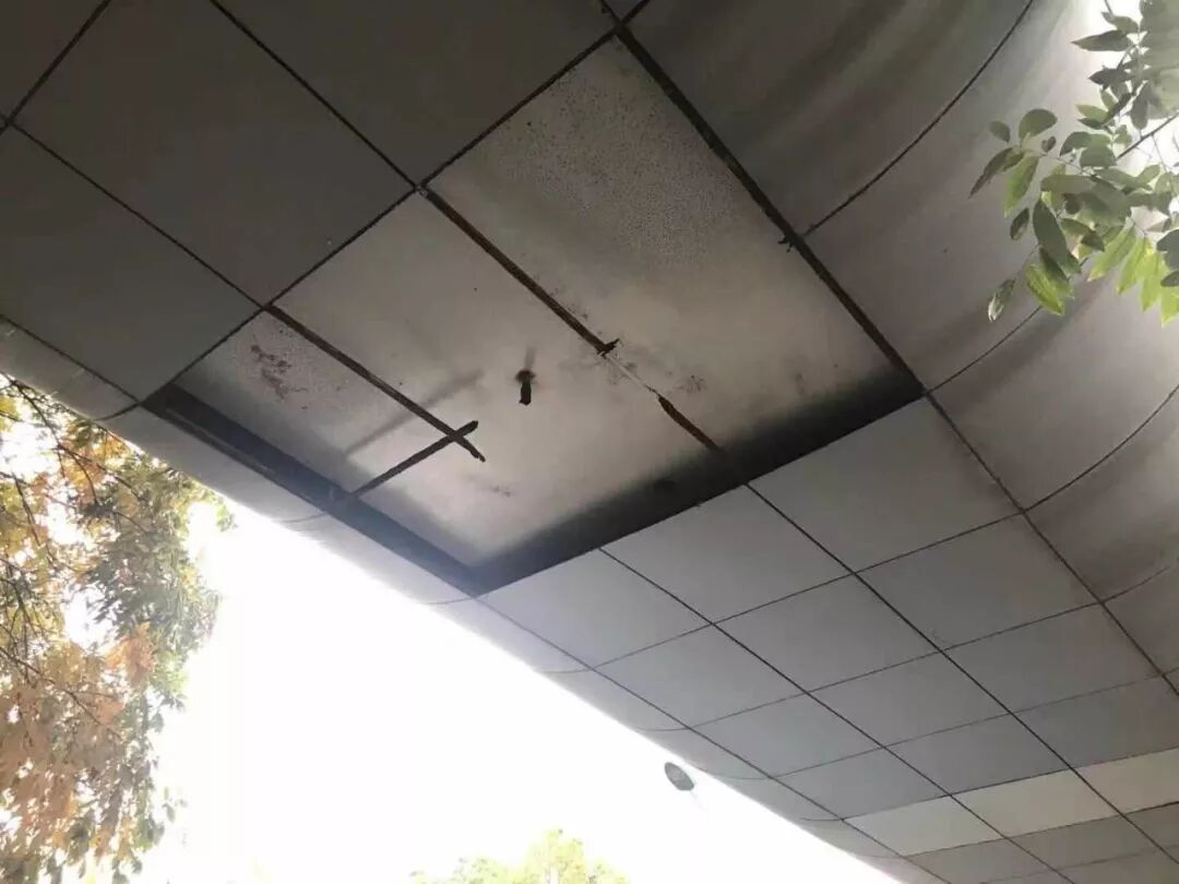 网曝无锡两地有高空坠物风险 现场探访