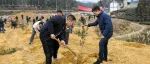 【厚植生态优势 共享生态价值】马山镇组织开展2023年义务植树活动