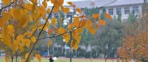 教育部公示！榆林这些学校将被认定为全国特色学校