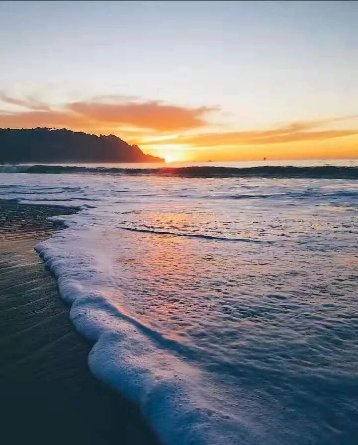 旅游 旧金山 加州阳光下的城市魅力和谐又惊艳 Fashion娘娘 微信公众号文章阅读 Wemp