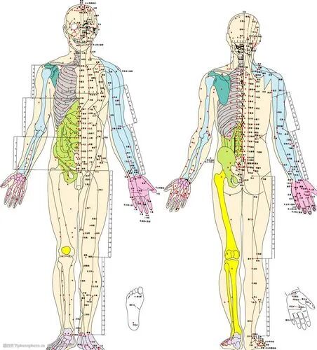 中医经络检测哪些中医经络仪，让您用中医的方式了解自己的身体状况！_https://www.jmylbn.com_新闻资讯_第2张
