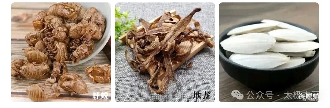 52个常用中药引子的神奇妙用