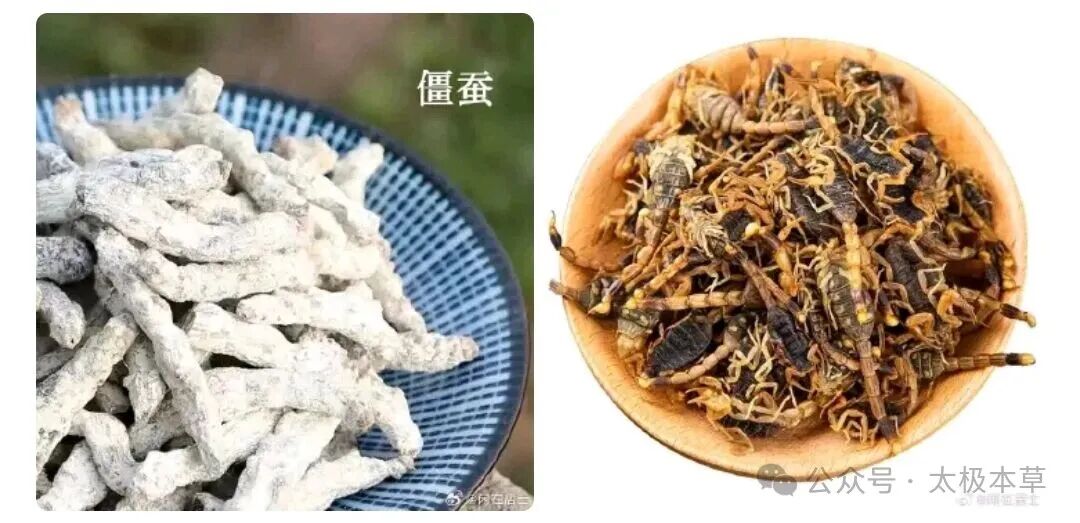 鸡蛋蒸药食：民间巧治痔疮的实用方