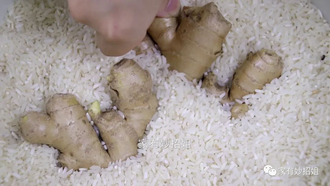 怎样储存鲜姜