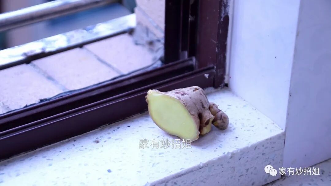 怎样储存鲜姜