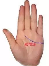 手掌图解男左女右_手掌图解男性_手掌痣相图解男