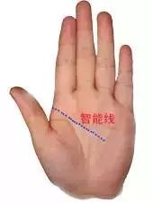 手掌图解男性_手掌图解男左女右_手掌痣相图解男