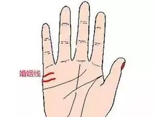 手掌图解男性_手掌图解男左女右_手掌痣相图解男