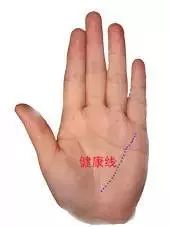 手掌图解男左女右_手掌痣相图解男_手掌图解男性