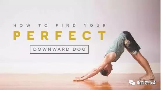如何找到属于你自己的完美下犬式 瑜伽导师营 微信公众号文章