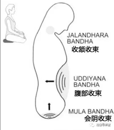 怎么 收 会阴如何在瑜伽树式中找到会阴收束的感觉？（经典）_https://www.jmylbn.com_新闻资讯_第3张