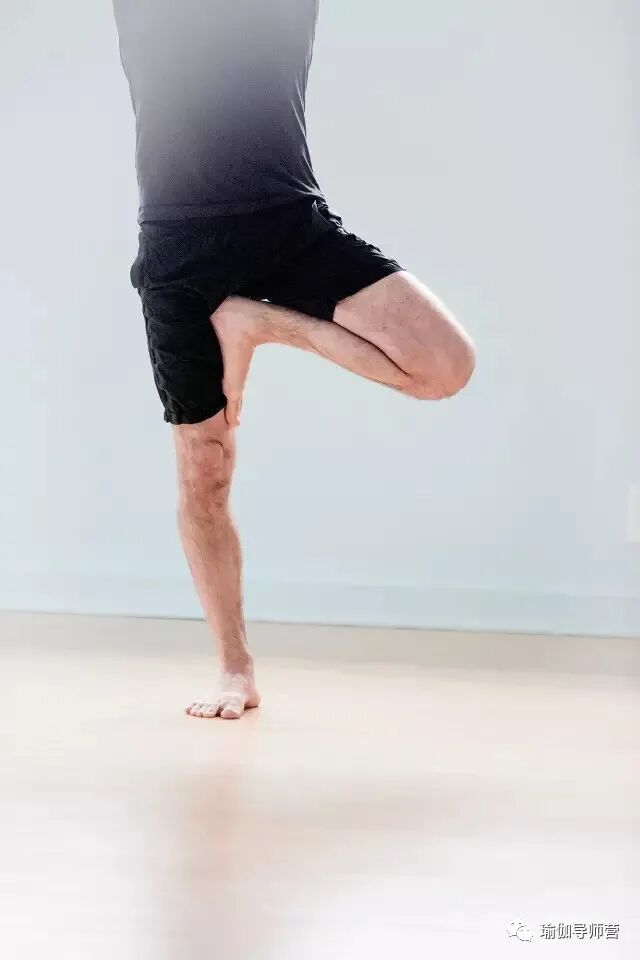 怎么 收 会阴如何在瑜伽树式中找到会阴收束的感觉？（经典）_https://www.jmylbn.com_新闻资讯_第6张