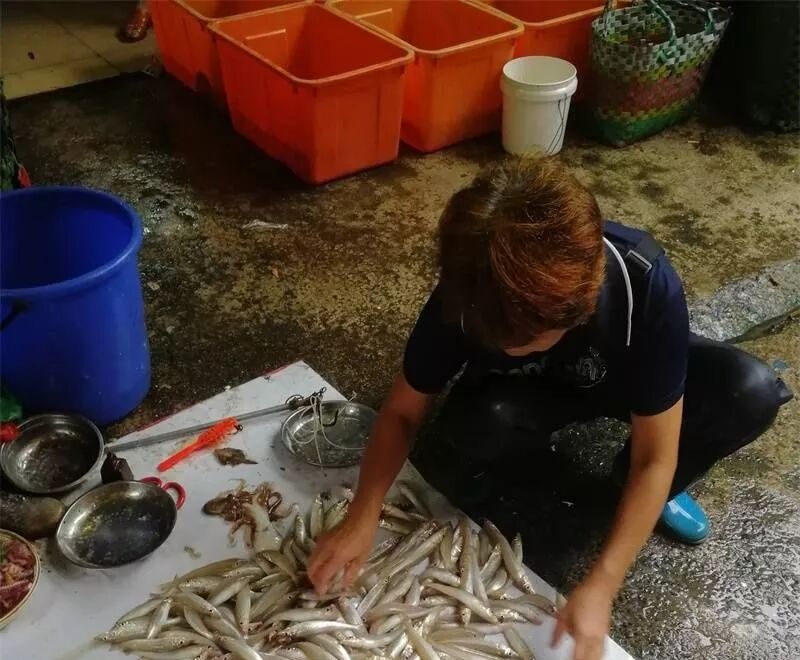 北海海鲜市场价_2020年北海海鲜价格_龙趸鱼多少钱一斤