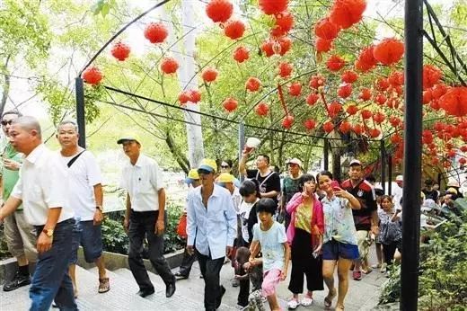 广西多少个市_广西市属于哪个省_广西市有几个市