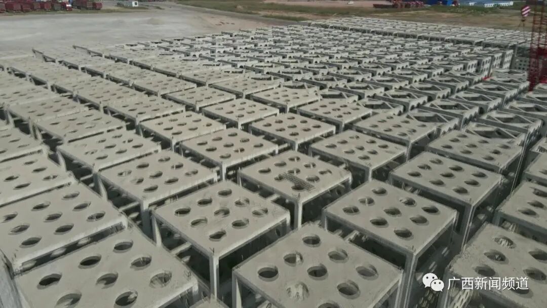 给海洋生物安新家北部湾港首次投放人工鱼礁