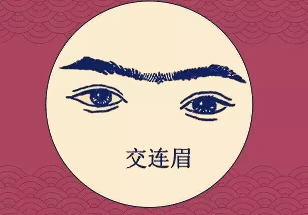 五种破财眉，财运破损留不住钱！