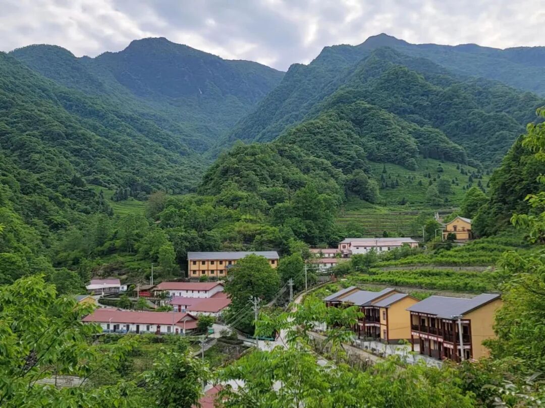 喜迎二十大城乡百里行竹溪营盘山万亩海棠花开正盛