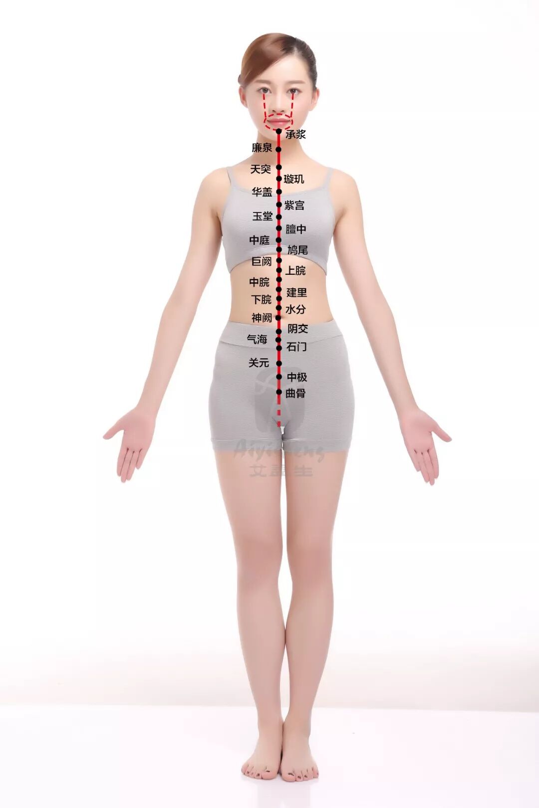 古法经络|保养任脉是每个女人的必修课