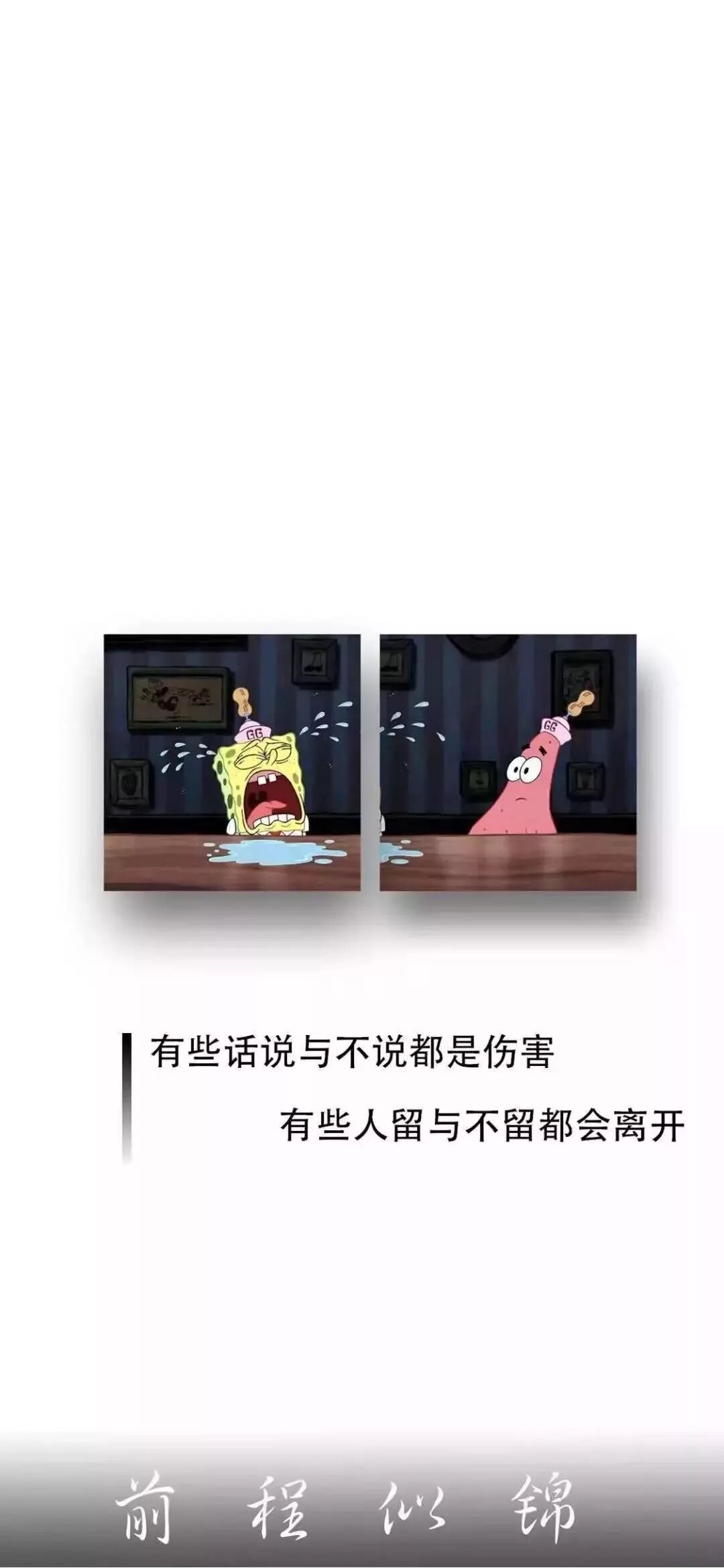 抖音热门文字壁纸 花店不开了 花继续开 闪萌表情 微信公众号文章阅读 Wemp