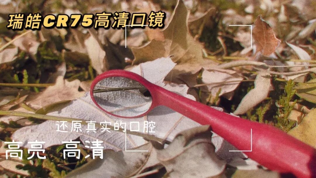 一次性口镜怎么用刘寅昌医生-C型根管一次性根充（视频）_https://www.jmylbn.com_新闻资讯_第2张