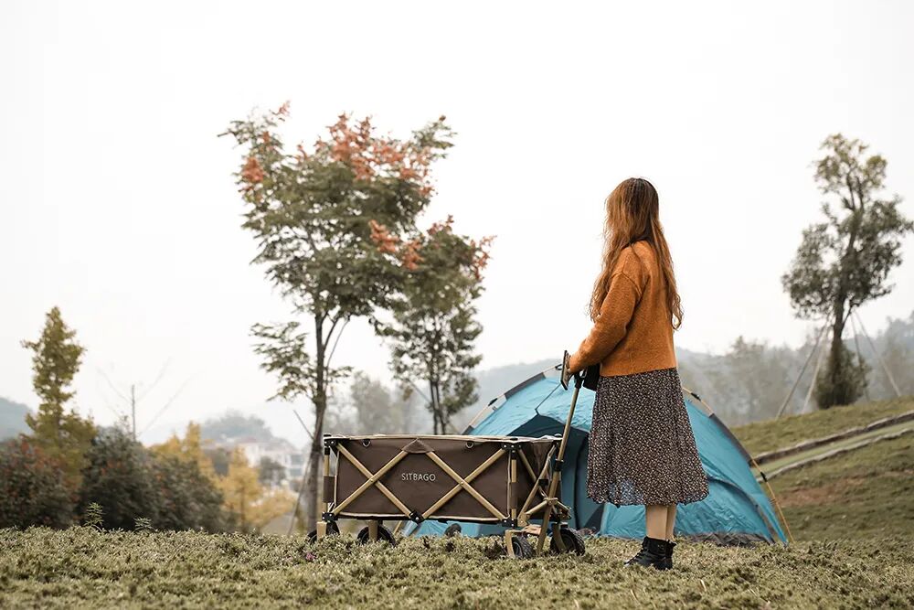 拉车界的“劳斯莱斯”！240斤承重，可折叠，超能装！车用、露营、购物、拉货...的图29