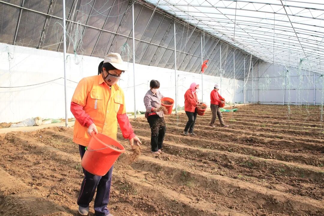 林卅市扶贫项目_国家扶贫创业项目_泰安市持扶贫创业项目