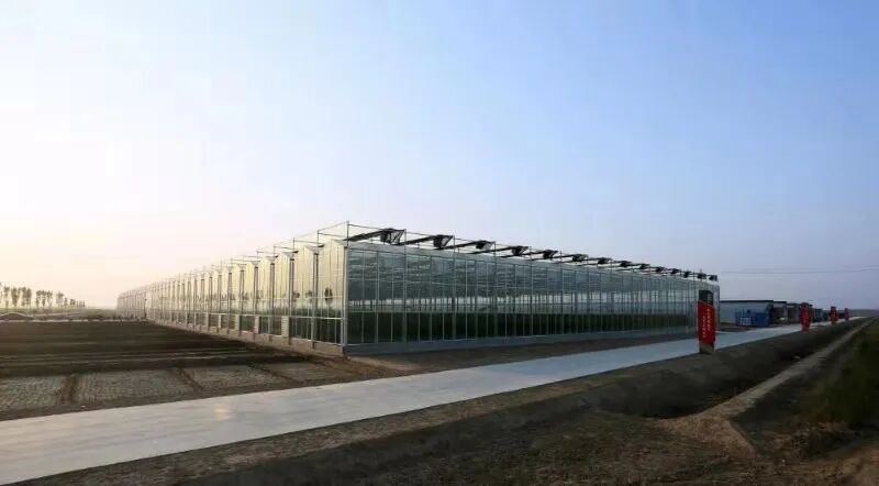 泰安市持扶贫创业项目 【跨越发展看利津系列报道】民生改善成效显 提升群众“幸福感”