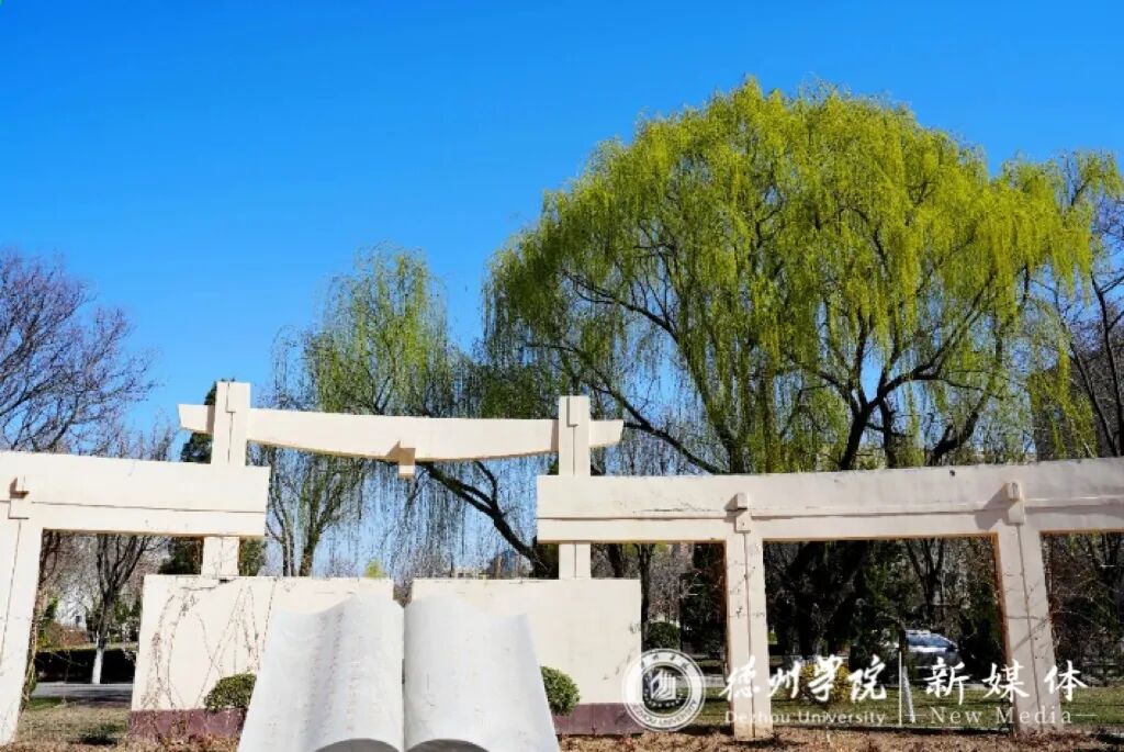 德州学院2024年普通高等教育招生章程