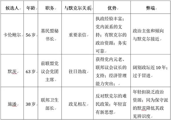 德国基民盟_基民盟_基民盟是左派还是右派