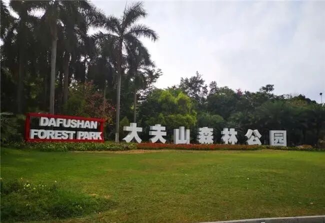 番禺大华紫悦府97㎡~125㎡三房至四房