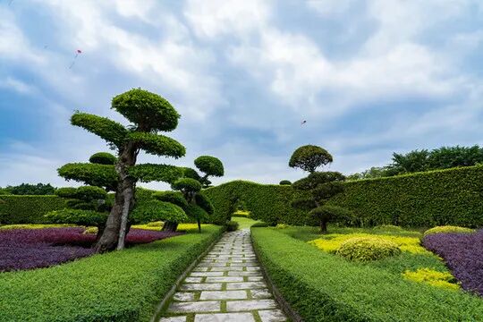 十种景观树种，打造最美的园林庭院景观