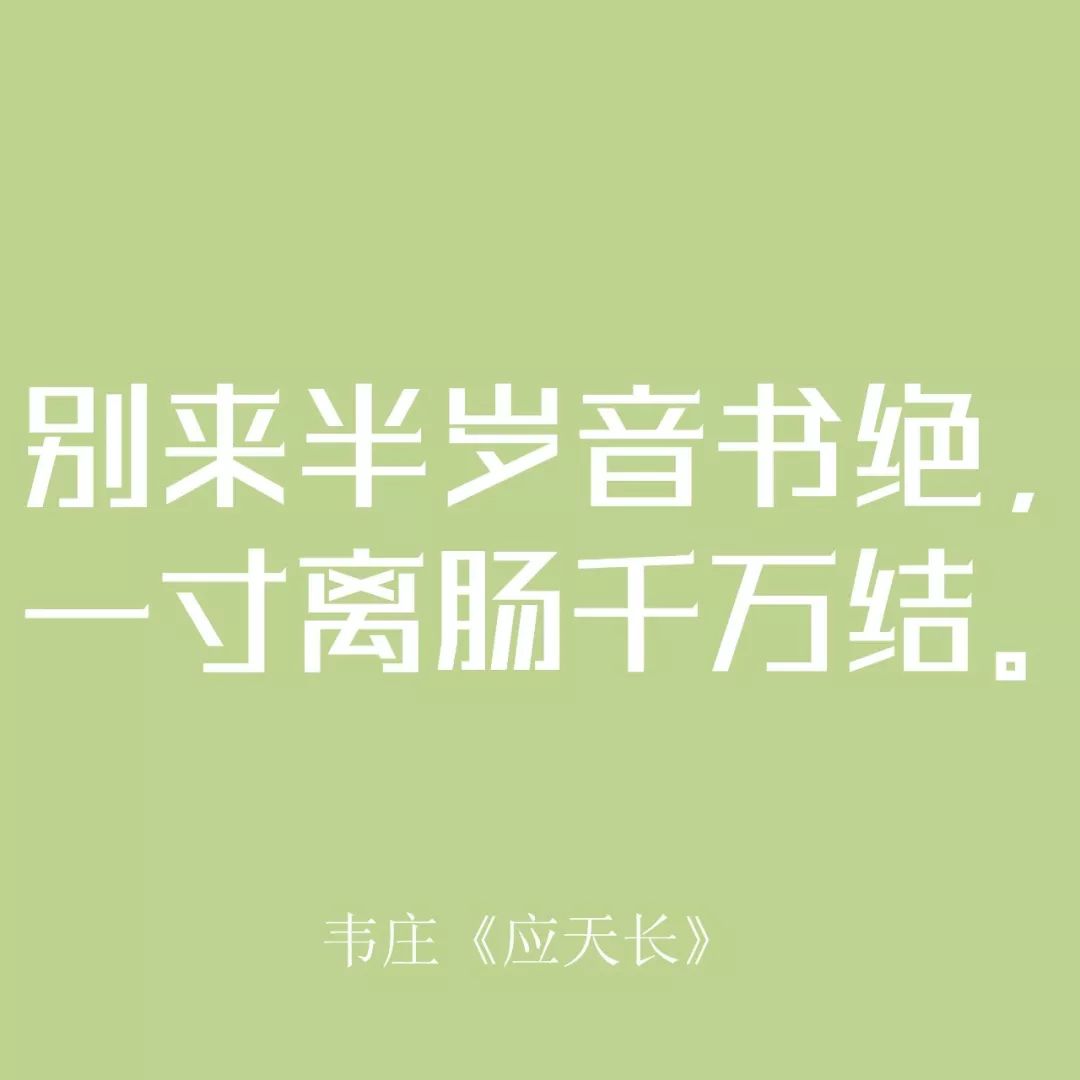 相親網站比較  全世界都在過情人節 而我只想說一句國潮情話 情感 第34張