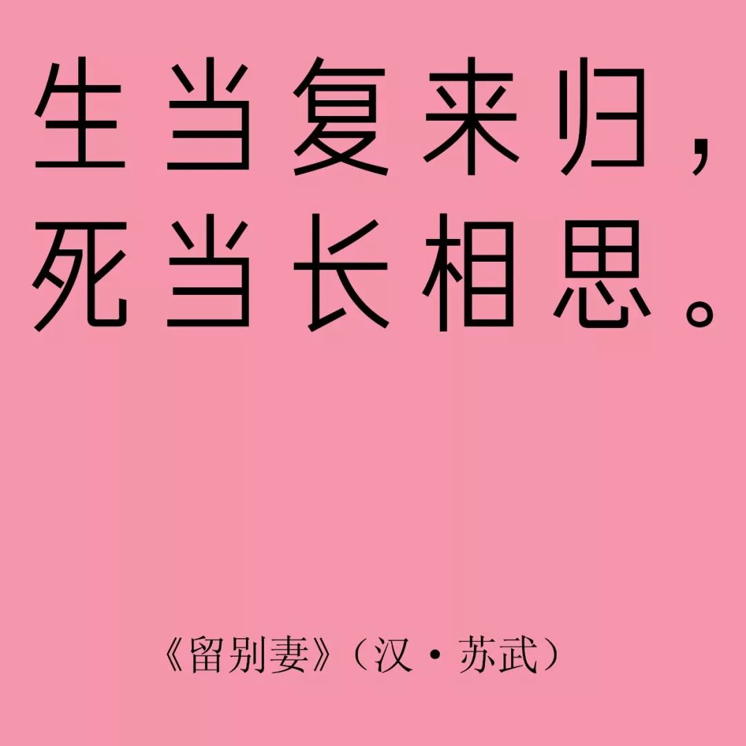 相親網站比較  全世界都在過情人節 而我只想說一句國潮情話 未分類 第5張